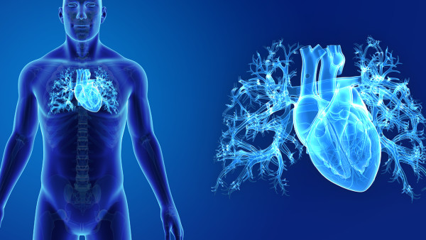 心脑血管疾病的风险是什么？